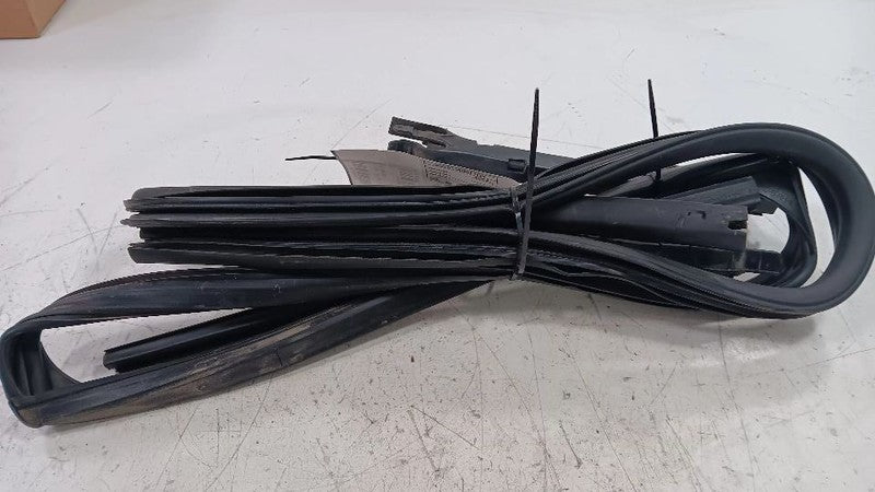 Chevy Traverse Door Glass Window Seal Rubber Right Passenger Rear Back  2010 201
