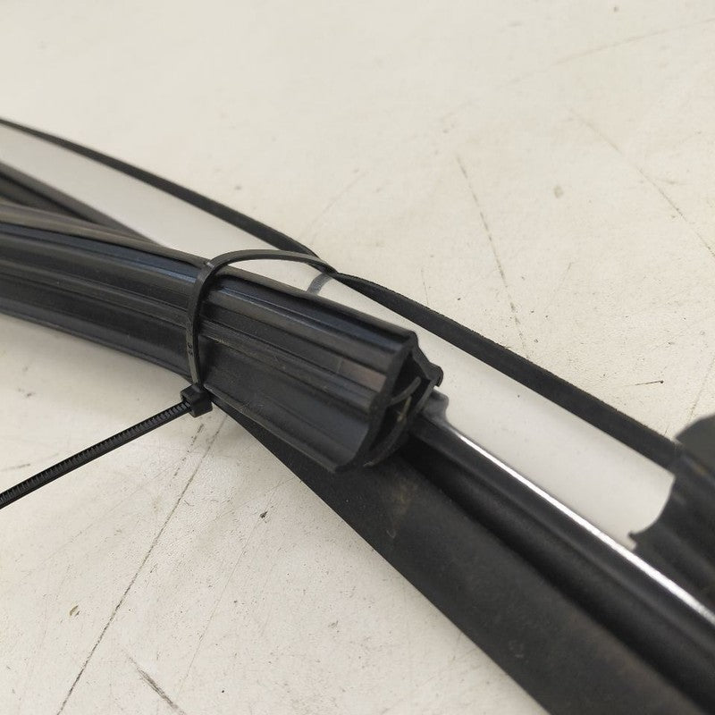 Chevy Volt Door Glass Window Seal Rubber Right Passenger Front  2019 2