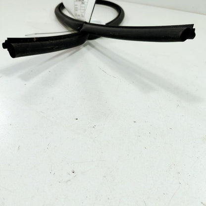 Chrysler 300 Dash Windshield Seal 2017 2018 2019 OEM