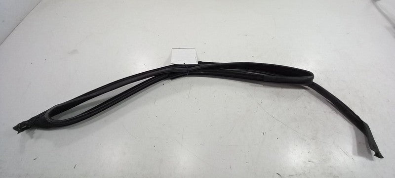 Dodge Dart Door Glass Window Seal Rubber Left Driver Front 2013 2014 2015 2016