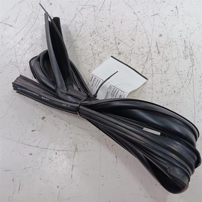 Ford Ecosport Door Glass Window Seal Rubber Left Rear Back  2018 2019 