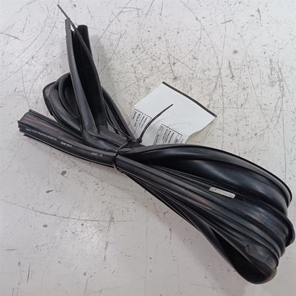 Ford Ecosport Door Glass Window Seal Rubber Left Rear Back  2018 2019 