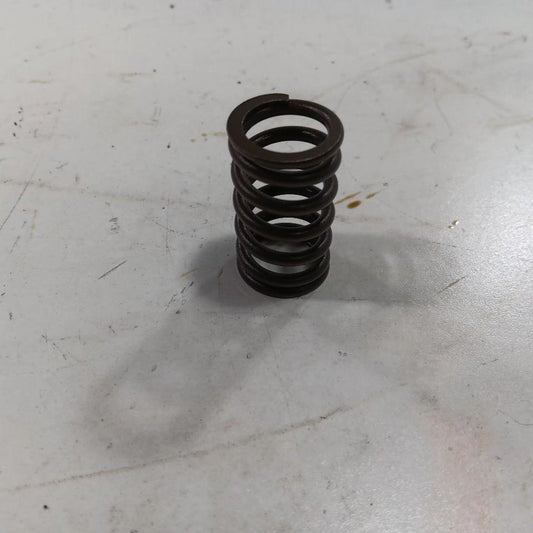 Jeep Compass 2.4 Cylinder Head Intake Valve Spring 2017 2018 2019 2020