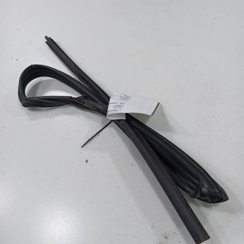 Nissan Altima Door Glass Window Seal Rubber Right Passenger Rear Back 