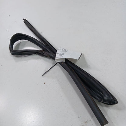 Nissan Altima Door Glass Window Seal Rubber Right Passenger Rear Back 