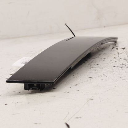 Cadillac CT6 Left Rear Door Applique {23385017} 2018 2017 2016