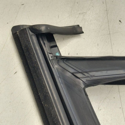 Volvo S60 Door Glass Window Seal Rubber Right Passenger Front  2018 20