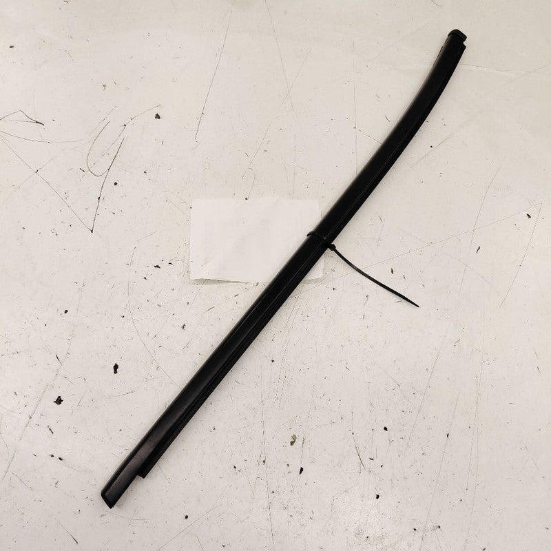Buick Encore GX Door Glass Window Weather Strip Trim Rear Left Driver 