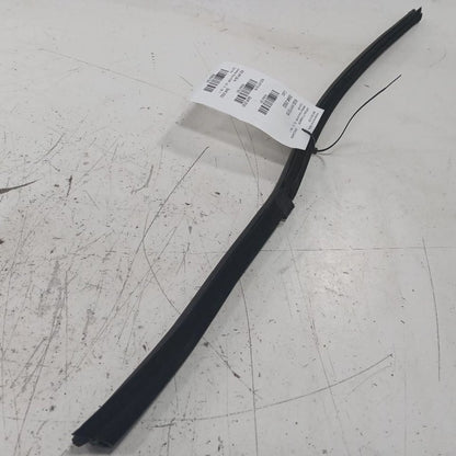 Hyundai Elantra Right Rear Weather Strip Interior  2017 2018 2019 2020