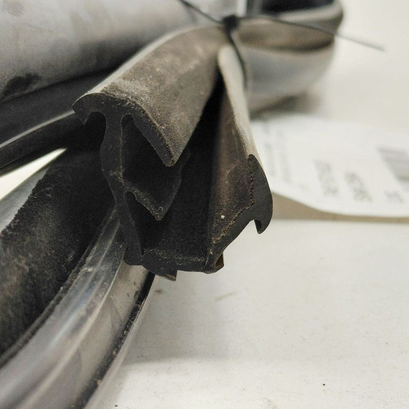 Ford Ecosport Door Glass Window Seal Rubber Right Passenger Rear Back 
