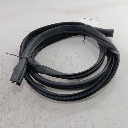 Nissan Kicks On Body Door Jamb Seal Rear Left Back  2021 2022 2023 2024