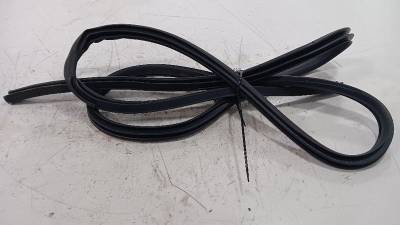 Nissan Maxima On Body Door Jamb Seal Rear Right Passenger Back  2018 2019 2020