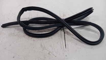 Nissan Maxima On Body Door Jamb Seal Rear Right Passenger Back  2018 2019 2020