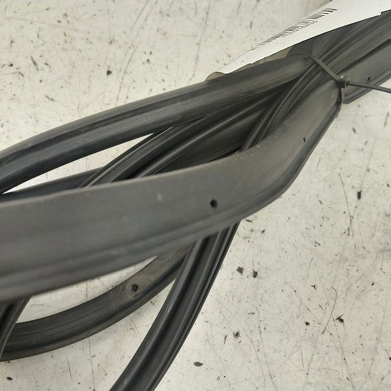 Hyundai Kona On Door Seal Rubber Left Driver Front  2021 2020 2019