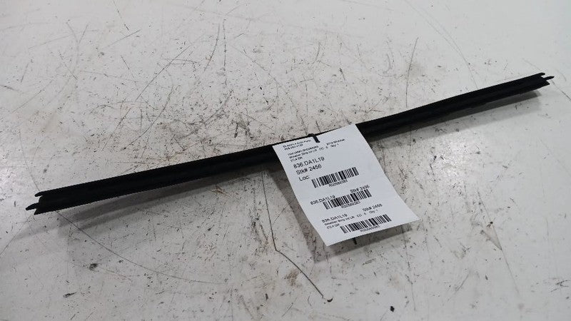 Nissan Maxima Left Rear Weather Strip Interior  2018 2019 2020