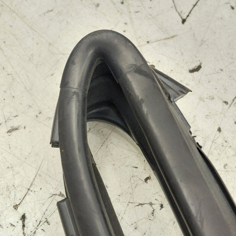 Nissan Versa Note Door Glass Window Seal Rubber Left Driver Rear Back 