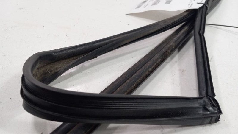 Subaru Forester Door Glass Window Seal Rubber Right Passenger Rear Bac