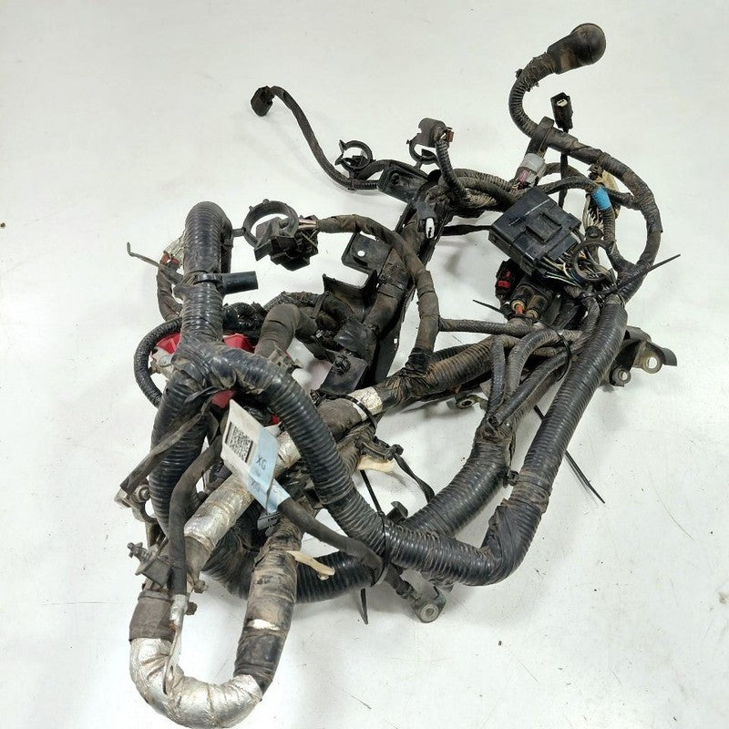 Ford Edge Battery Cable  2019 2020 2021 2022 2023 2024 OEM