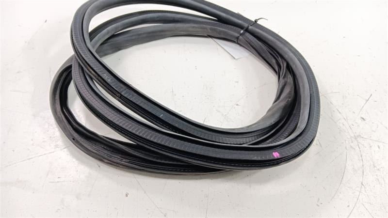 Buick Encore On Body Door Jamb Seal Rear Right Passenger Back 2016 2017 2018 201