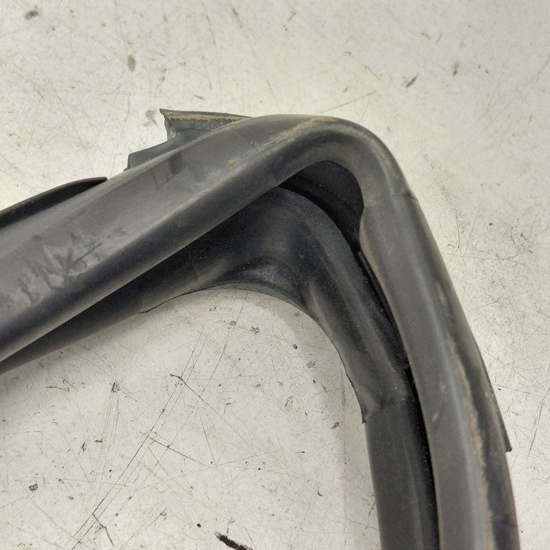 Nissan Versa Note Door Glass Window Seal Rubber Left Driver Front 2019