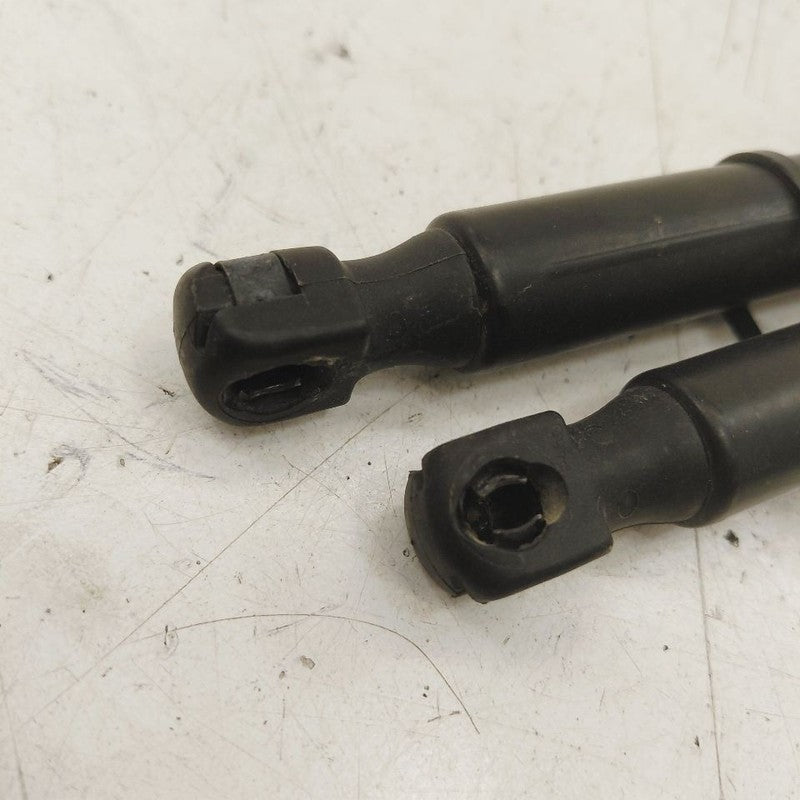 Chrysler 300 Hood Strut Shock Support  2017 2018 2019