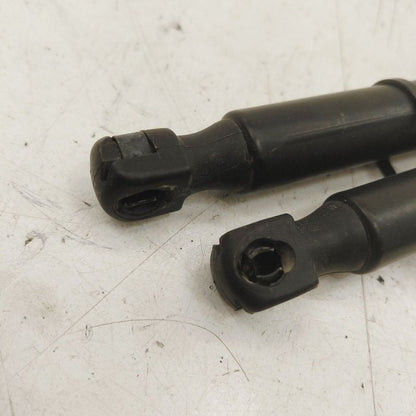 Chrysler 300 Hood Strut Shock Support  2017 2018 2019