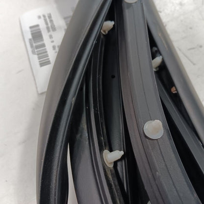 Kia Optima On Door Seal Rubber Left Driver Rear Back  2020 2019 2018 2