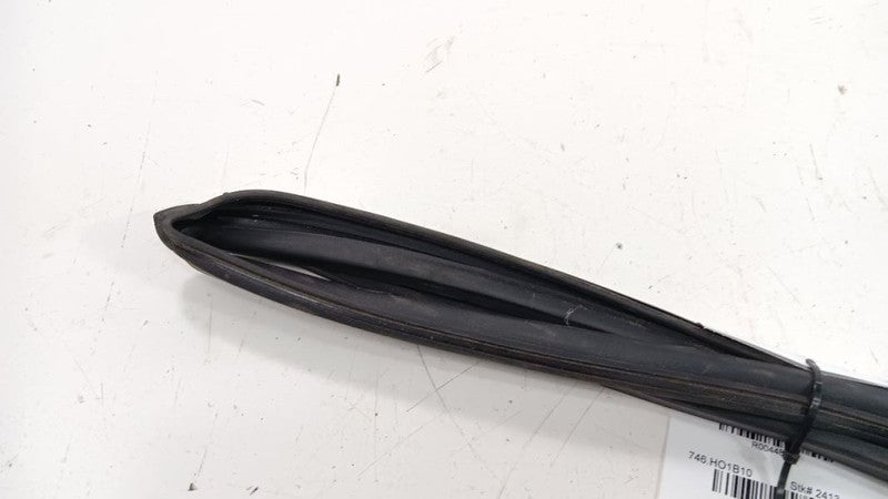 Honda Insight Door Glass Window Seal Rubber Right Passenger Rear Back 2010 2011 