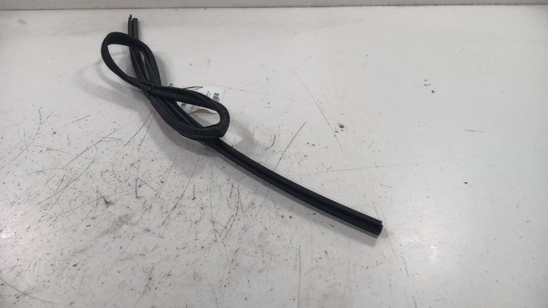 Subaru Forester Door Glass Window Seal Rubber Right Passenger Rear Bac