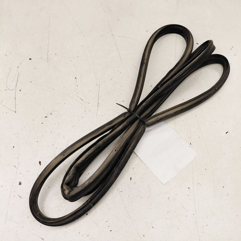 Cadillac XTS On Door Seal Rubber Right Passenger Rear Back      2016 2