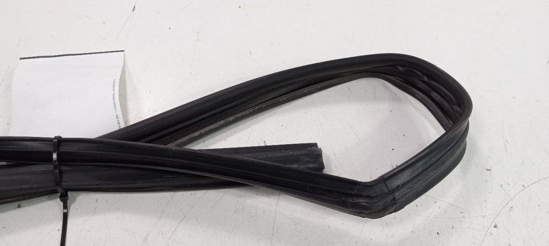 Cadillac CTS Door Glass Window Seal Rubber Left Front Driver 2011 2012 2013
