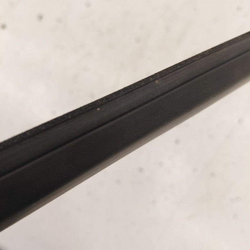 Chevy Volt Door Glass Window Weather Strip Trim Front Left Driver 2016