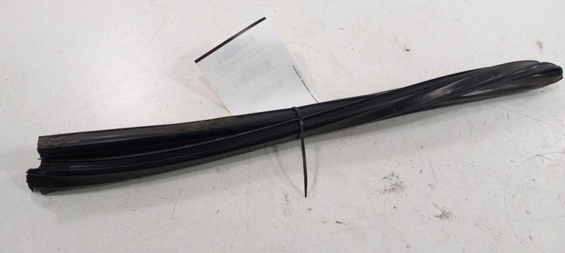 Nissan Sentra Door Glass Window Seal Rubber Right Passenger Rear Back 