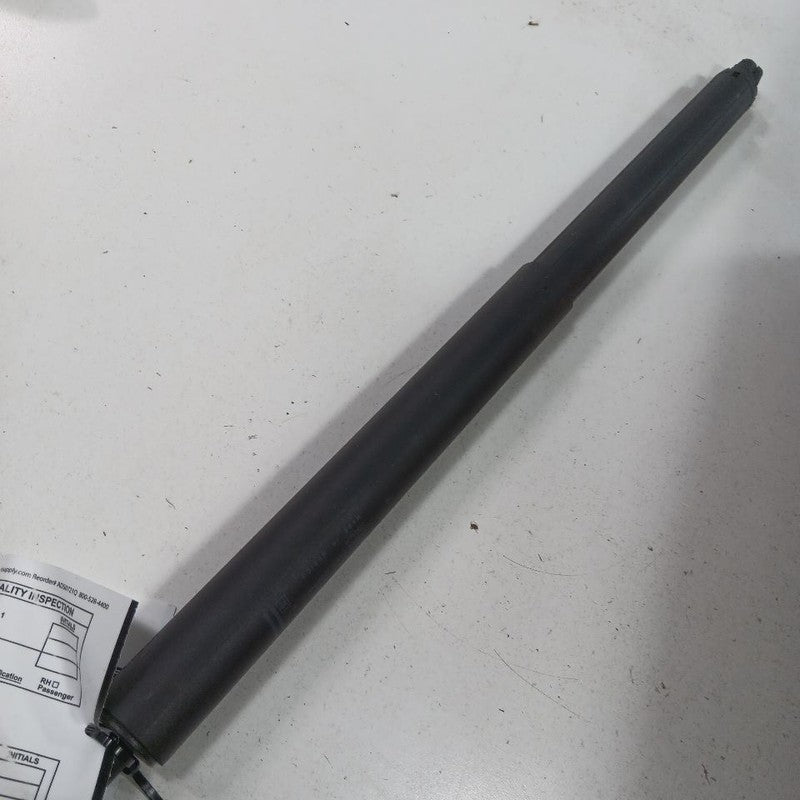 2025 GMC Acadia Hatchback Hatch Back Trunk Lid Shock Strut Support  OE