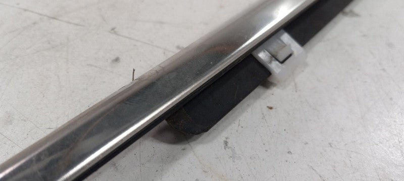 Hyundai Santa Fe Door Glass Window Weather Strip Trim Front Left Driver 2017 201