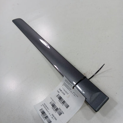 Nissan Altima Door Molding Trim Strip Left Driver Side Rear Back  2017