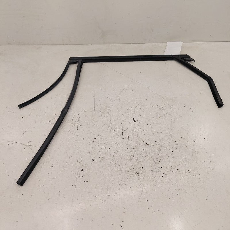 Ford Edge Door Glass Window Seal Rubber Left Driver Rear Back  2019 20