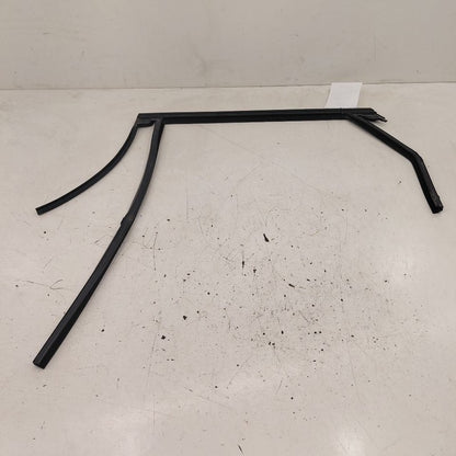 Ford Edge Door Glass Window Seal Rubber Left Driver Rear Back  2019 20