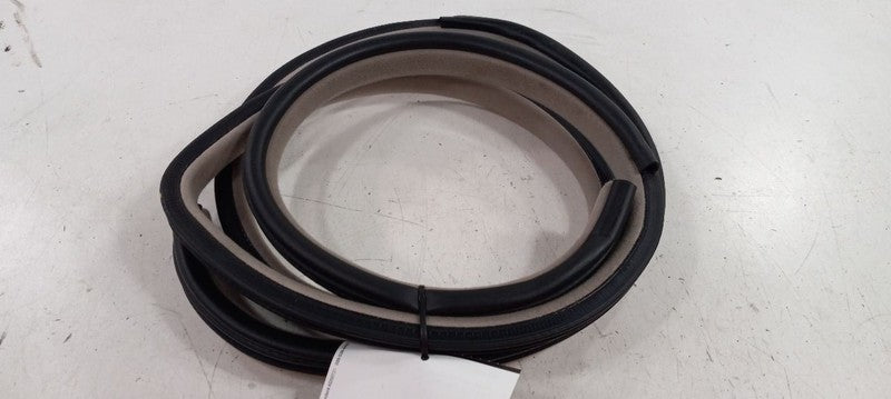 Hyundai XG350 On Body Door Jamb Seal Front Right Passenger 2003 2004 2