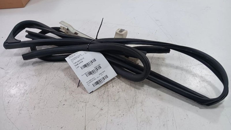 Chevy Traverse Door Glass Window Seal Rubber Left Driver Front  2010 2