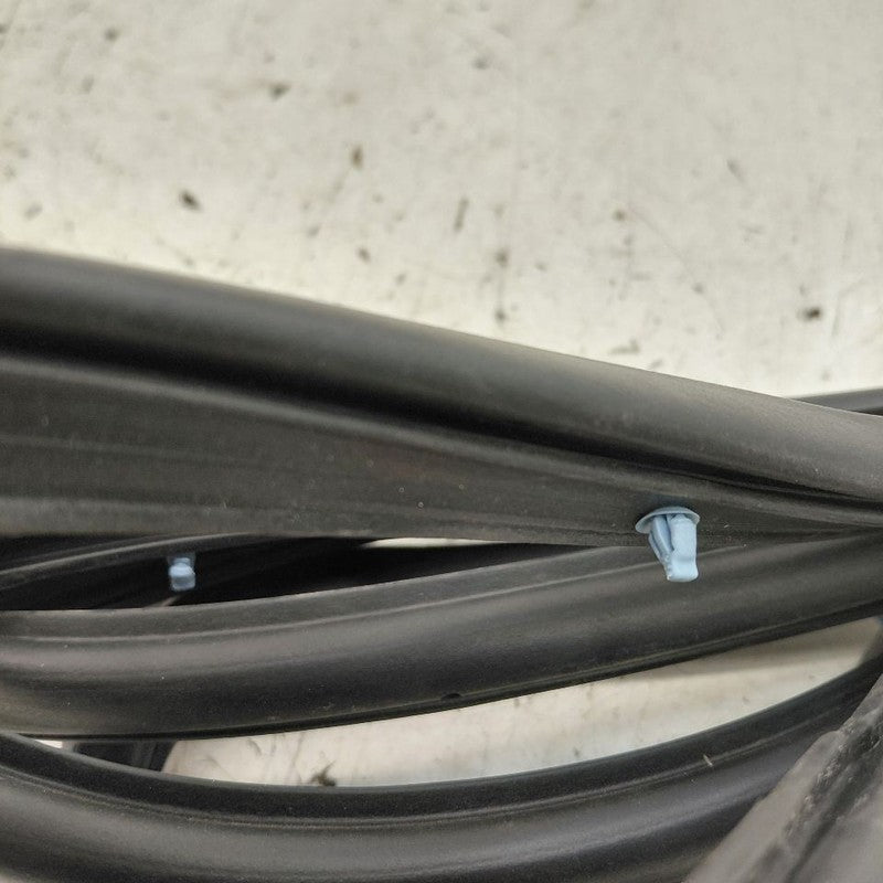 Mitsubishi Mirage On Door Seal Rubber Right Passenger Front  2024 2023