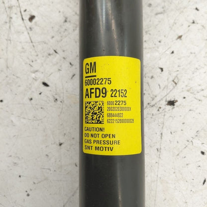 Buick Encore GX Left Rear Shock Absorber 2022 2023 2024 2025