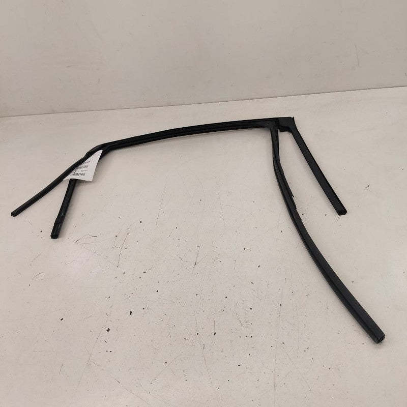 Ford Escape Door Glass Window Seal Rubber Left Driver Rear Back  2020 