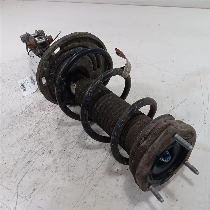 Passenger Right Strut Rear VIN D 5th Digit 4 Cylinder Hybrid Fits 12-17 CAMRY