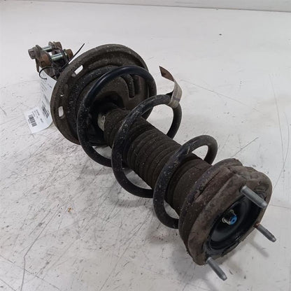 Passenger Right Strut Rear VIN D 5th Digit 4 Cylinder Hybrid Fits 12-17 CAMRY