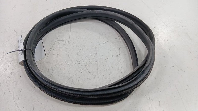 Subaru Impreza On Body Door Jamb Seal Front Right Passenger 2017 2018 