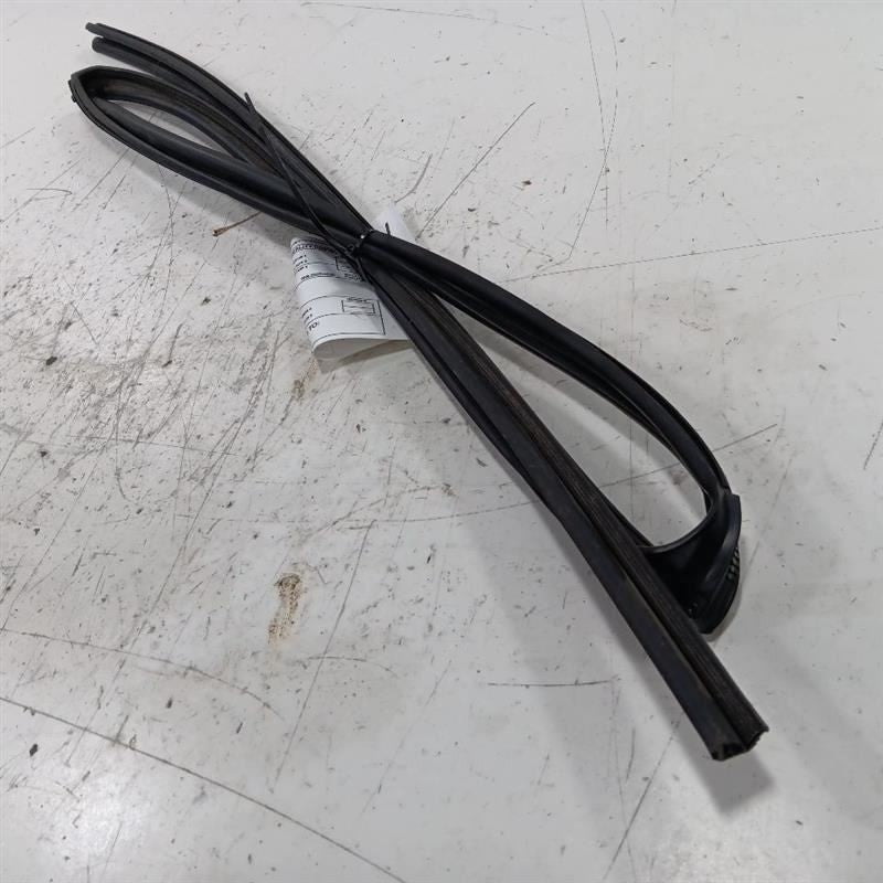 Toyota Rav 4 Door Glass Window Seal Rubber Left Rear Back  2015 2016 2017