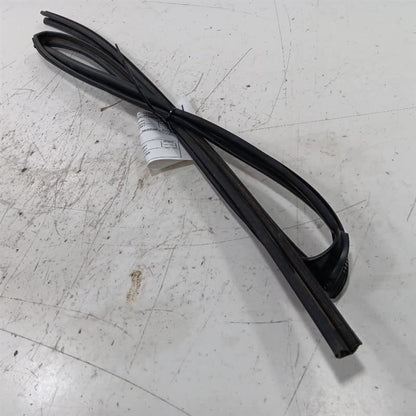Toyota Rav 4 Door Glass Window Seal Rubber Left Rear Back  2015 2016 2017