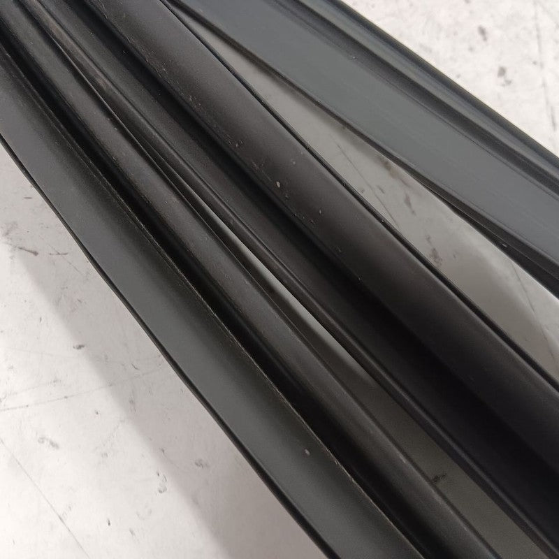 Nissan LEAF Door Glass Window Seal Rubber Left Driver Front  2013 2014 2015 2016