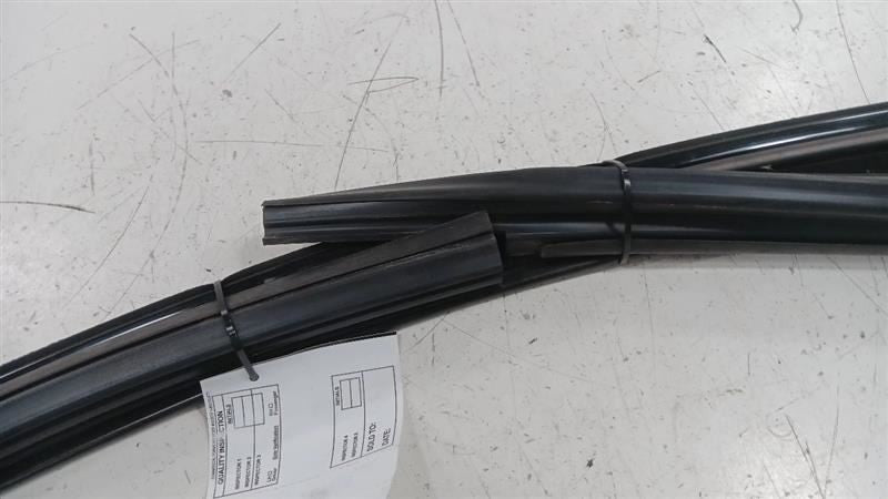 Dodge Dart Door Glass Window Seal Rubber Left Driver Front  2013 2014 2015 2016